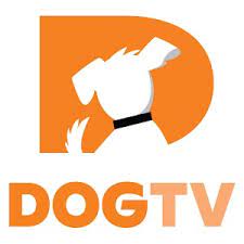 Doge TV APK icon
